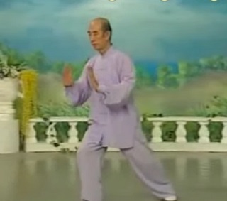 Style Yang Family Première partie